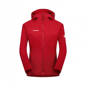 [問題] 請問長毛象外套該選擇哪件?